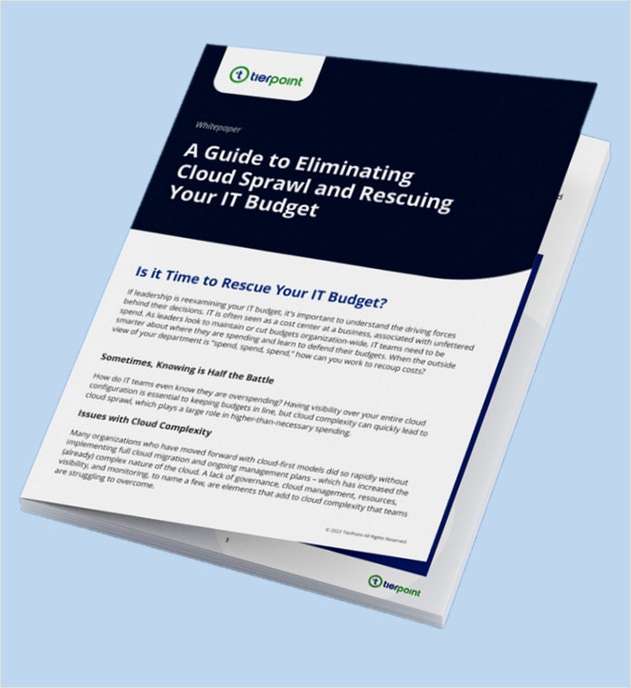 Eliminating Cloud Sprawl and Rescuing Your IT Budget