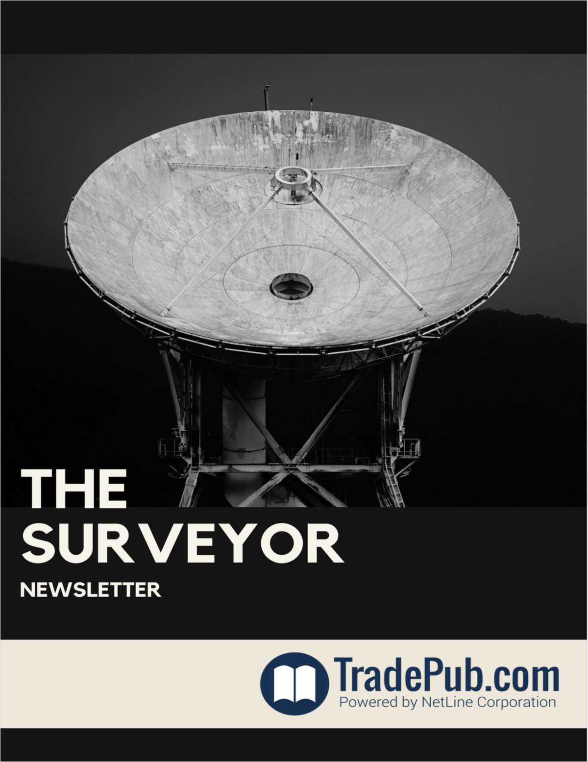 The Surveyor
