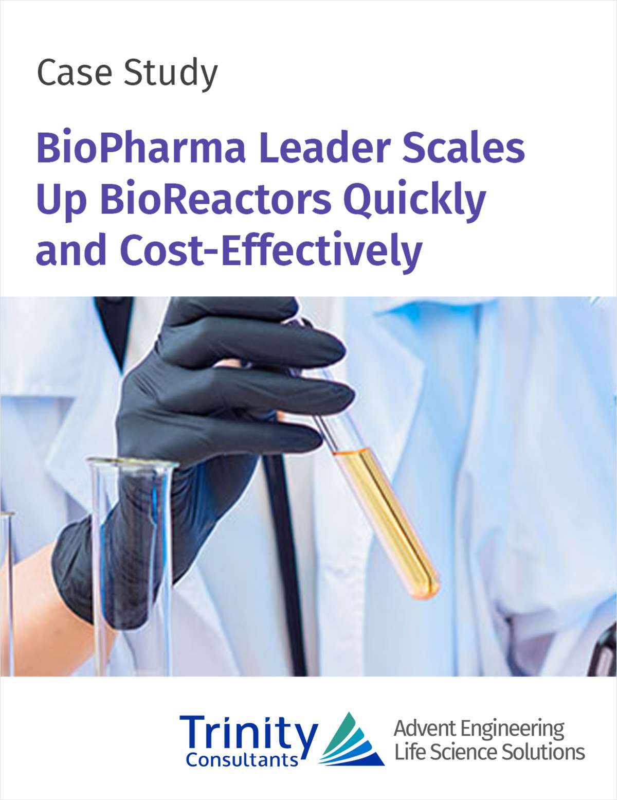 Transform Bioreactor Scale-Up: Cost-Effective, Rapid Solutions for BioPharmaceutical Leaders