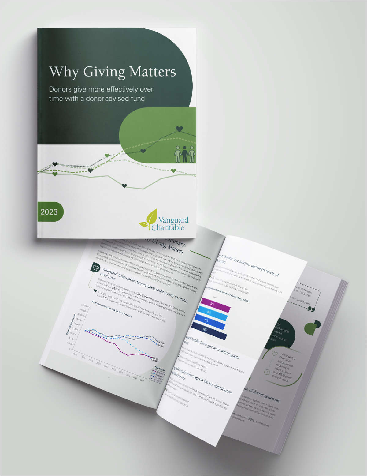 Want to increase impactful charitable giving? Learn how a donor-advised fund makes your philanthropy simple and more effective.