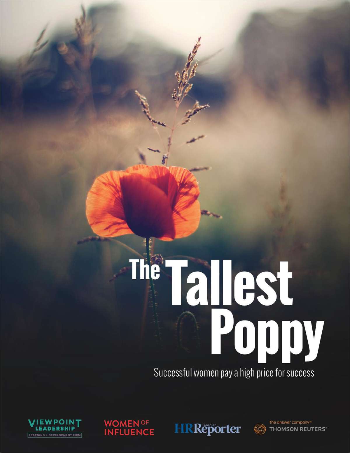 The Tallest Poppy