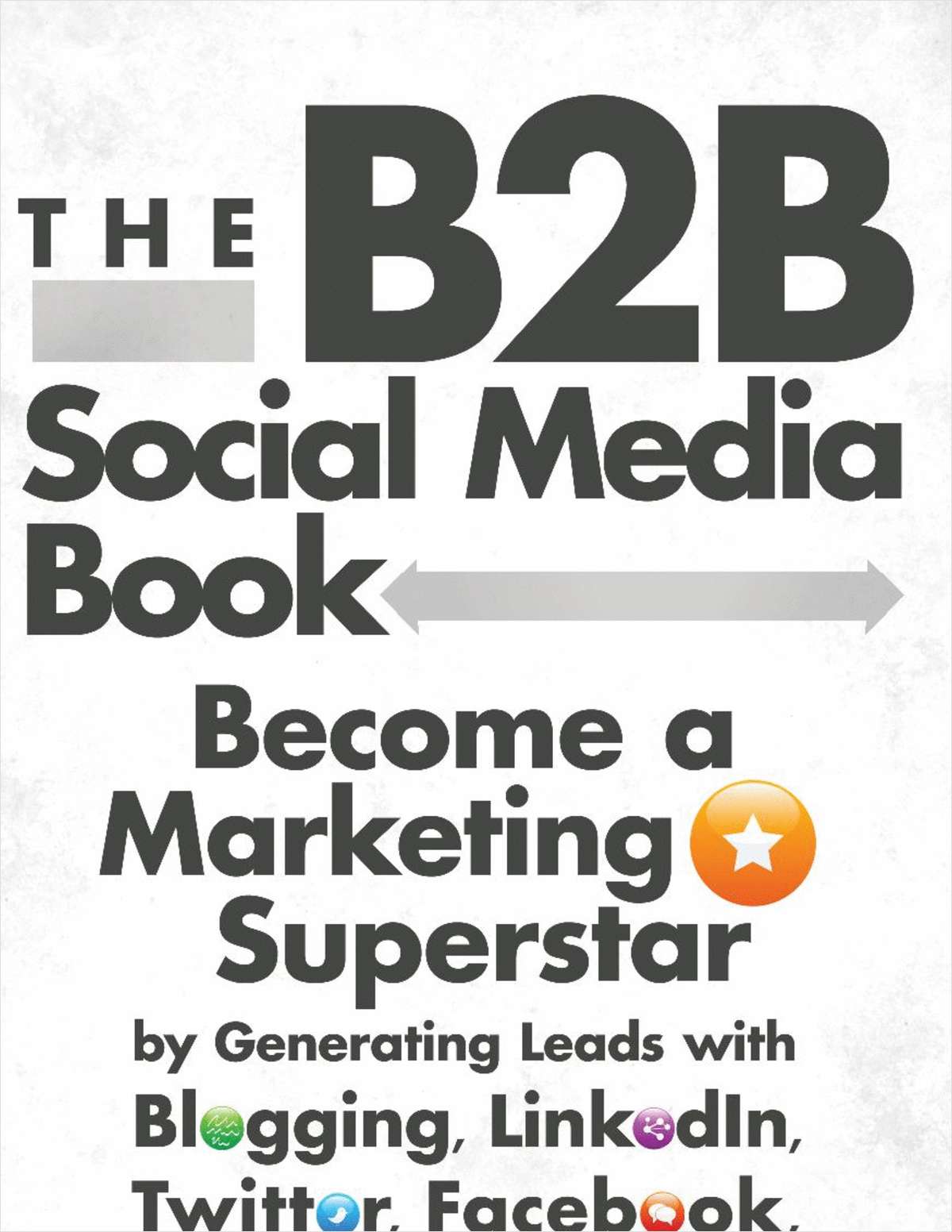 The B2B Social Media Book: Becoming a Marketing Superstar - Free Sample Chapter
