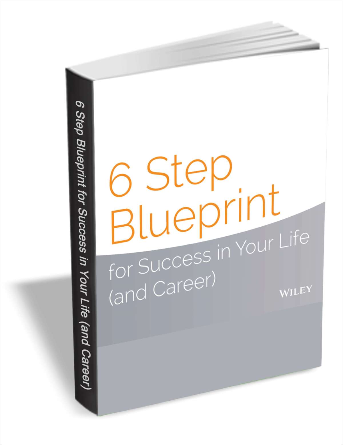 6 Step Blueprint for Success in Your Life (and Career)