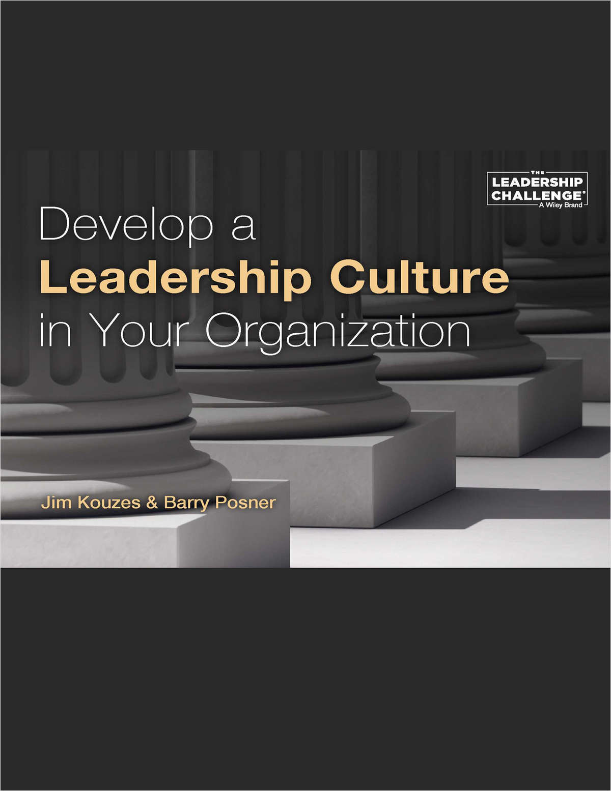 Develop a Leadership Culture in Your Organization